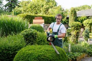Provence et Services jardinage à domicile