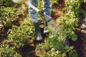 Provence et Services aide a domicile jardinage